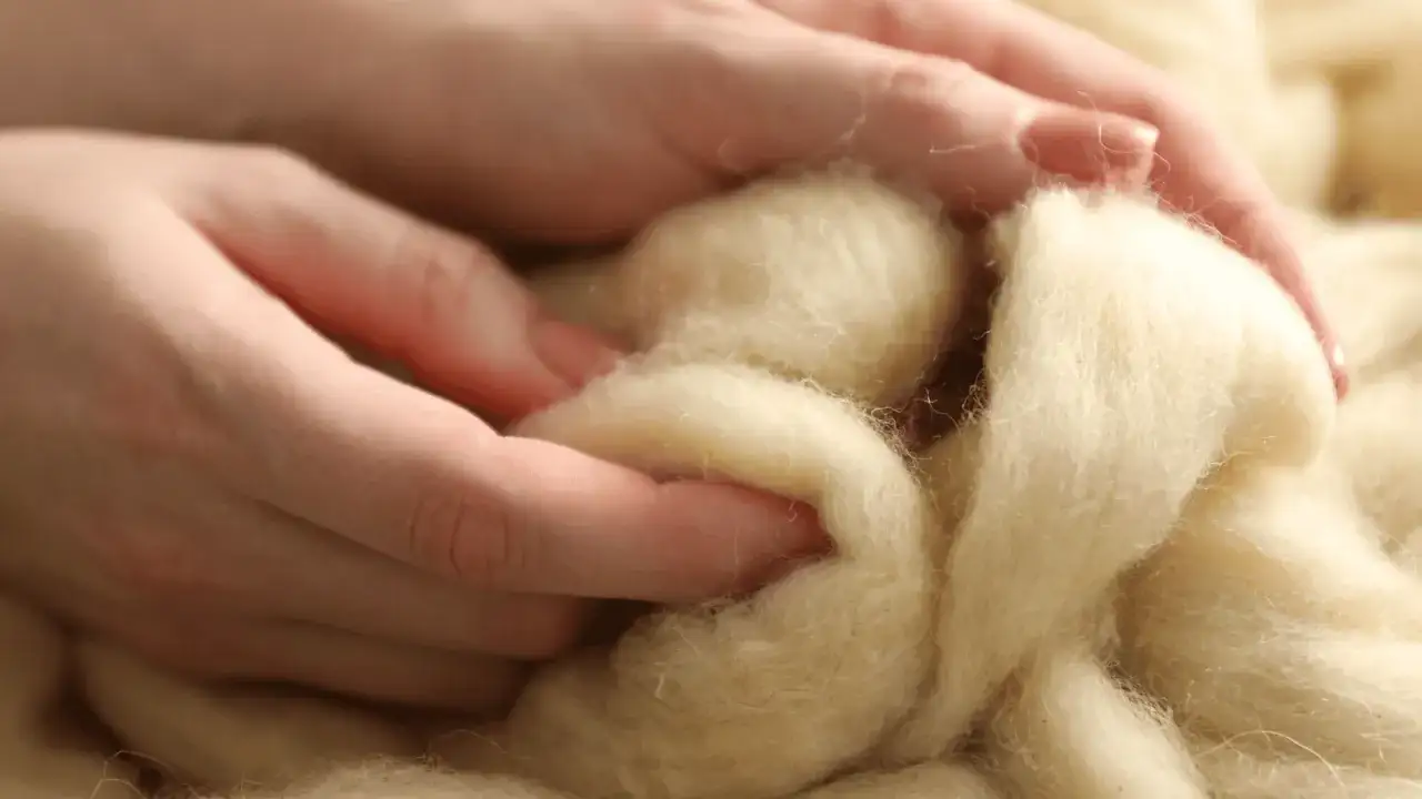 Czy wełna merino gryzie? Poznaj sekret jej miękkości