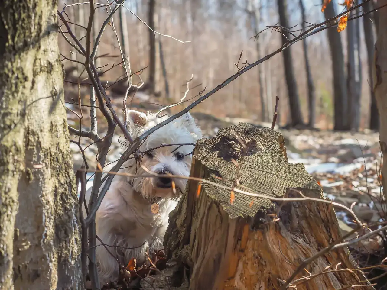 Chrzest w kościele: Realne koszty, "co łaska" i ukryte wydatki