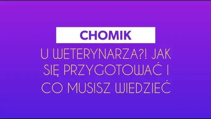 Czy z chomikiem chodzi się do weterynarza i co powinieneś wiedzieć?