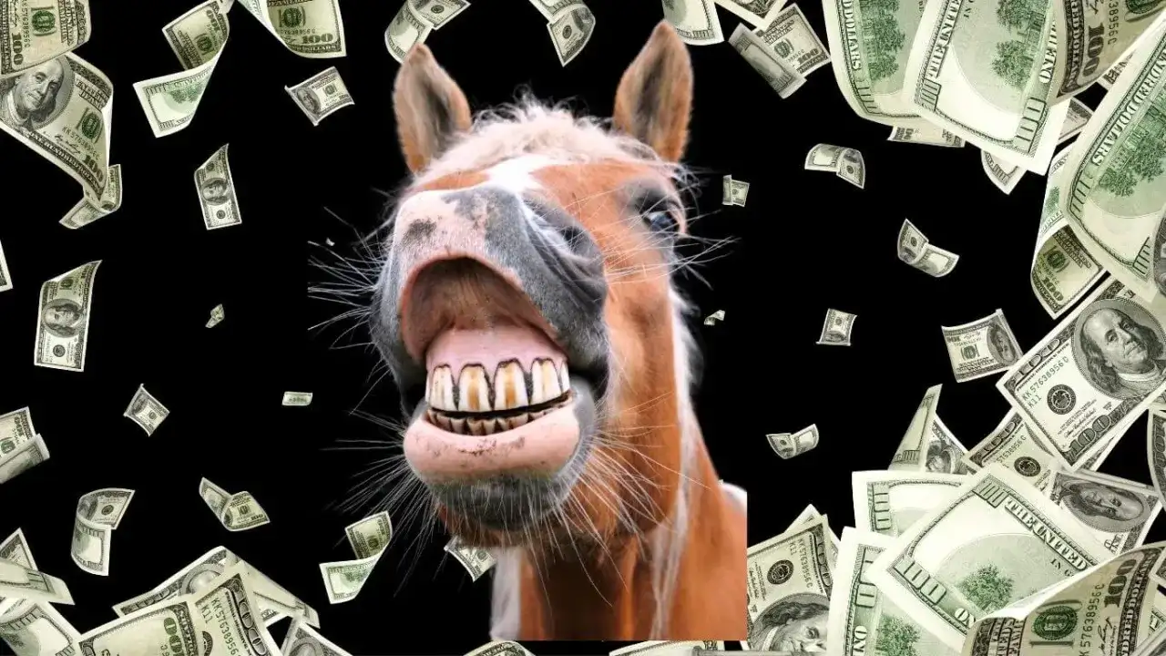 Ile kosztuje weterynarz dla konia? Poznaj ukryte wydatki i oszczędności