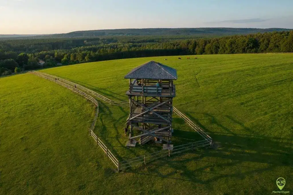 Roztocze: Odkryj najpiękniejsze miejsca i zaplanuj wyjazd