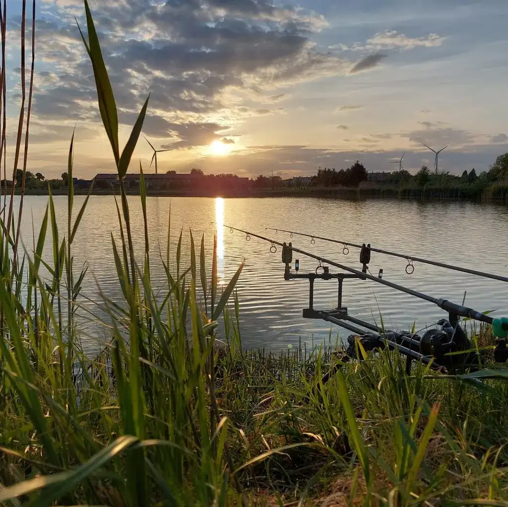 Łowisko Nekielka: najlepsze miejsce na karpie i komfortowe wędkowanie