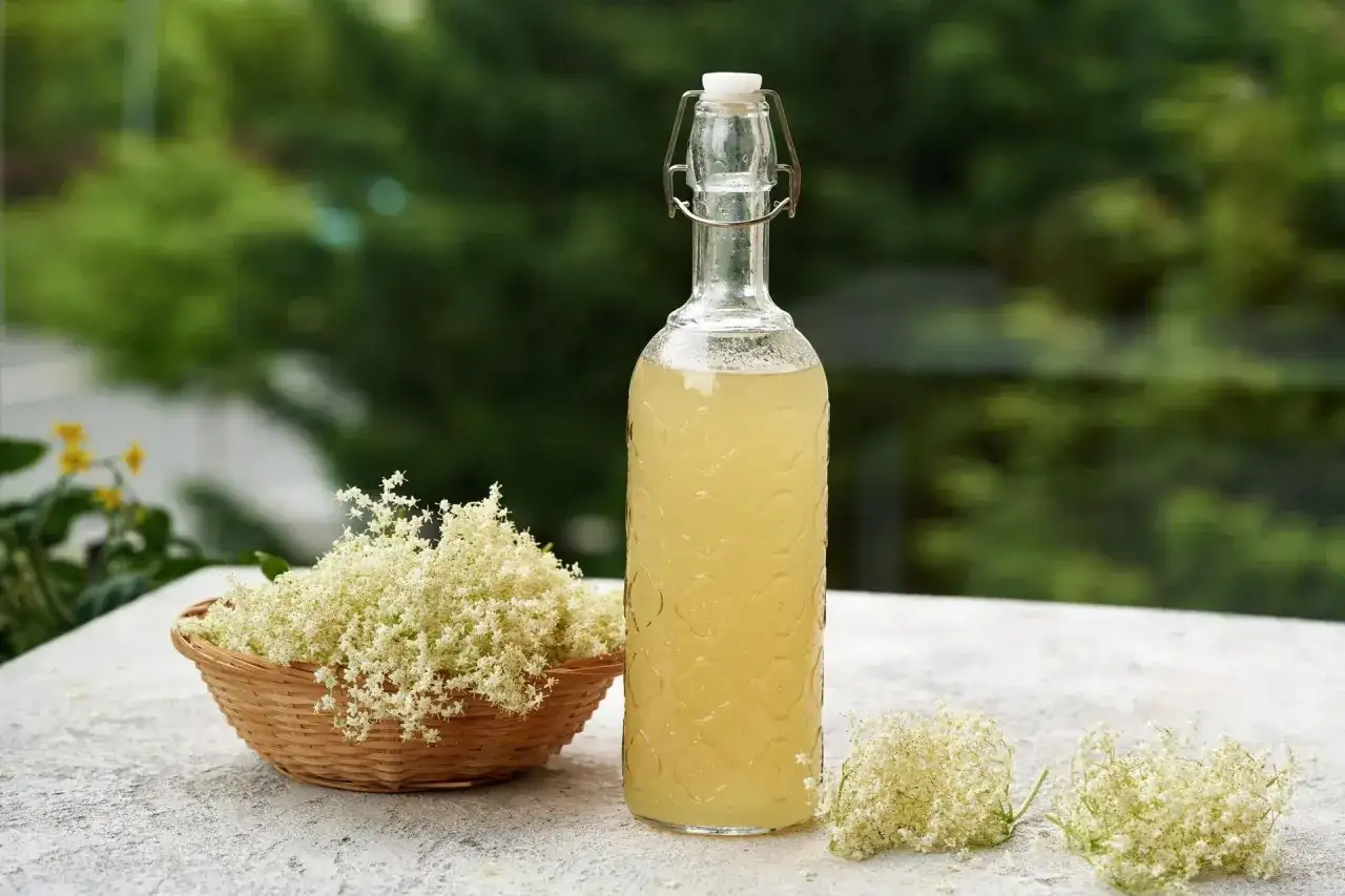 Pyszne drinki z syropem z kwiatu czarnego bzu, które zachwycą smakiem