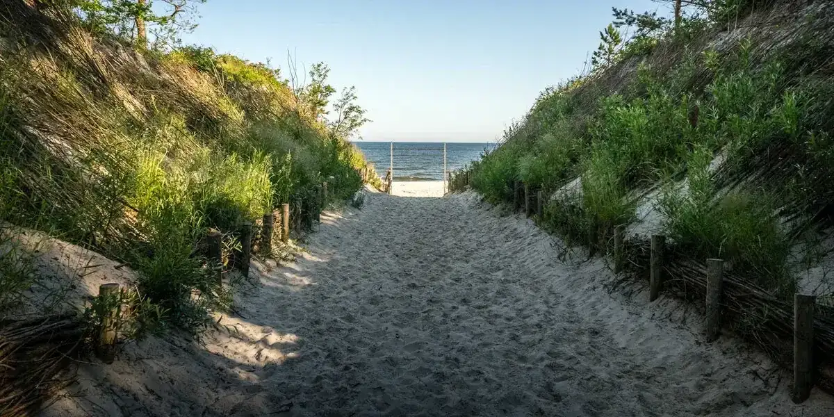Ile km do Krynicy Morskiej? Sprawdź odległość z Warszawy i Gdańska