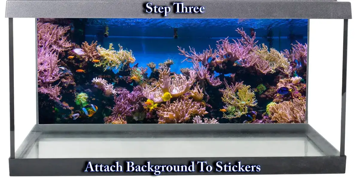 3 proste i bezpieczne sposoby czym przykleić tło do akwarium krok po kroku