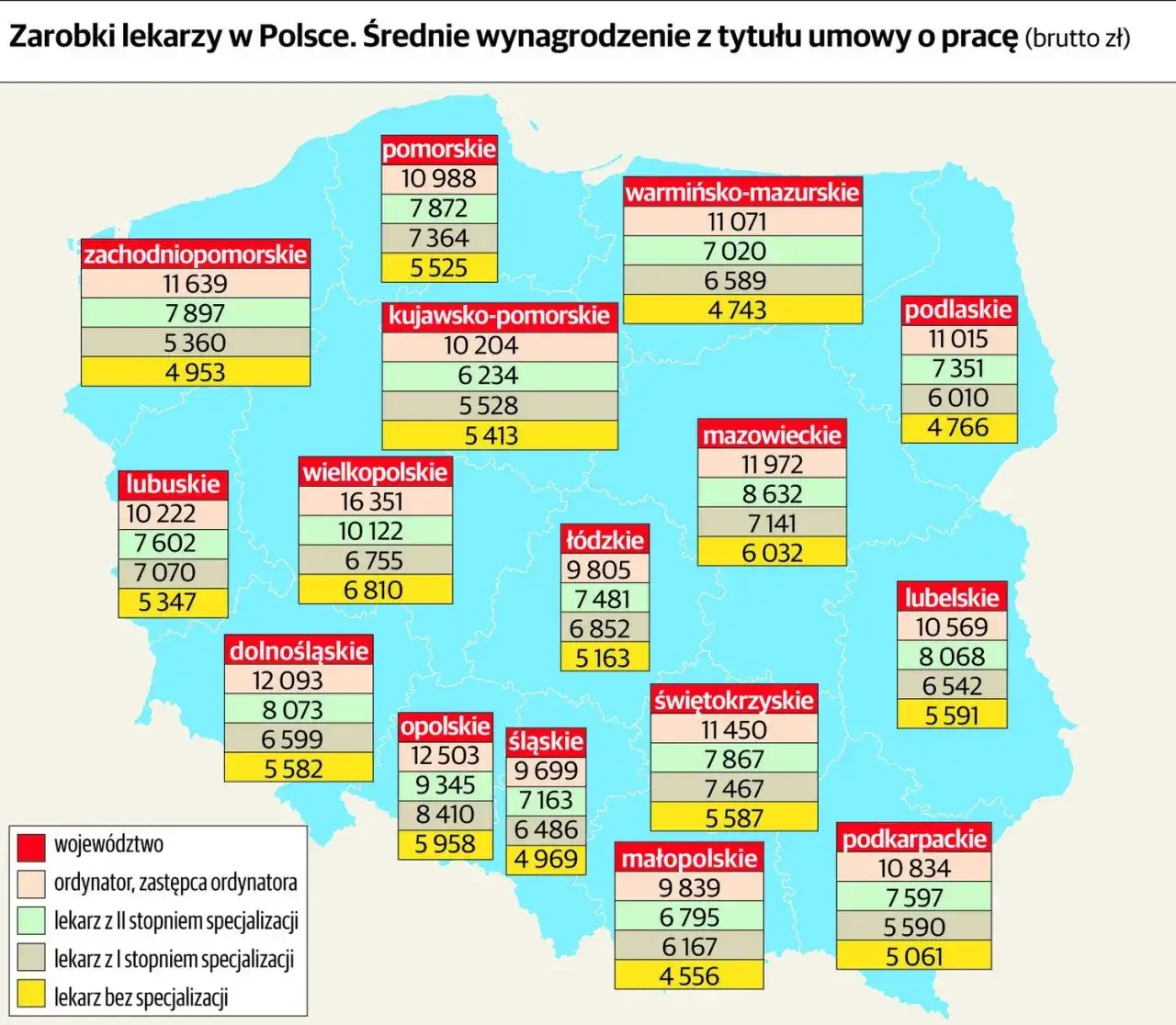 Ile zarabia neurolog? Zaskakujące różnice w wynagrodzeniach w Polsce