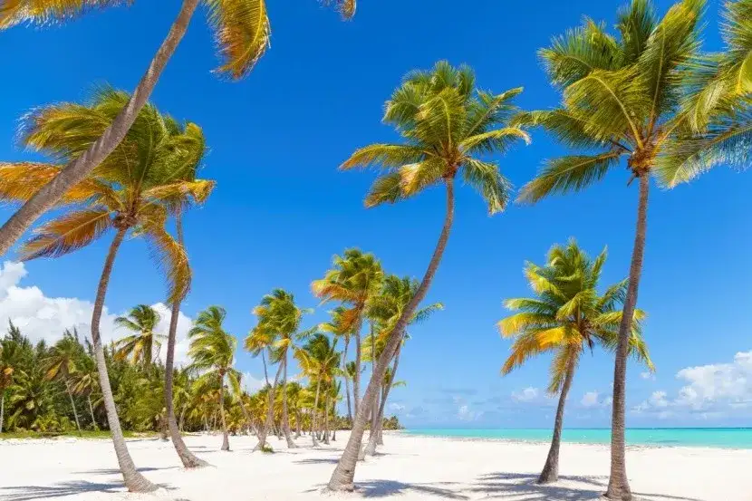 Najlepsze atrakcje w Dominikowie, które musisz zobaczyć na urlopie