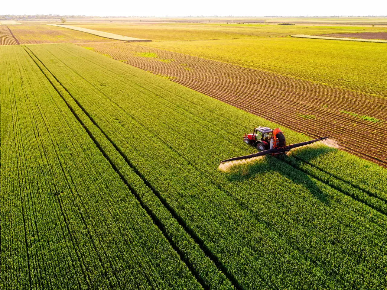 Co uprawiać na 5 klasie ziemi, aby uniknąć niskich plonów?