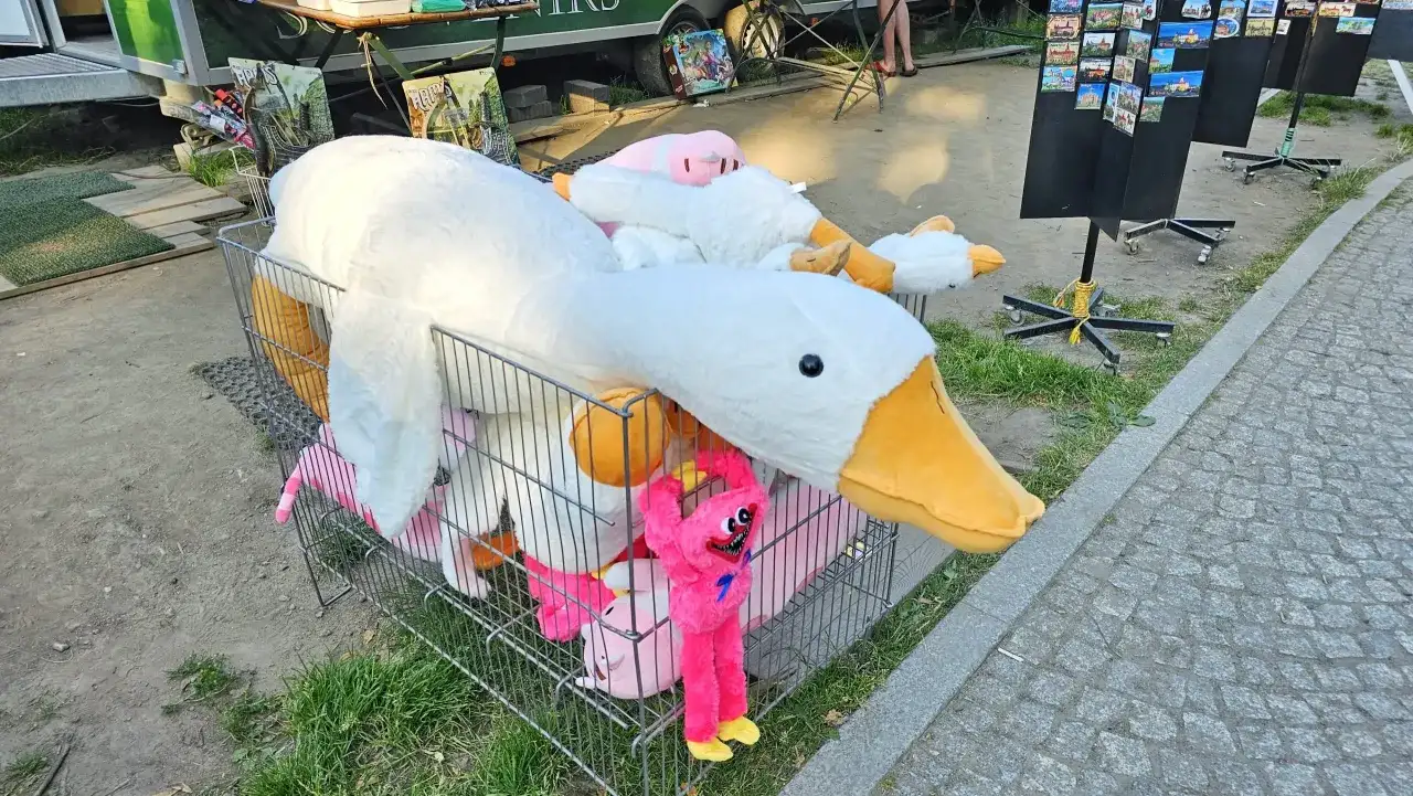 Skąd moda na pluszowe gęsi? Historia Pipy, która podbiła TikToka