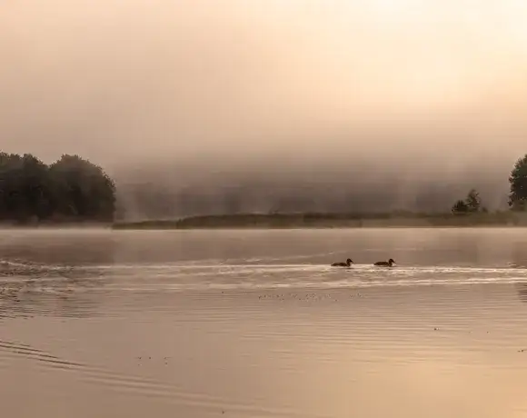 Jezioro Giłwa: piękno natury, wędkowanie i atrakcje turystyczne