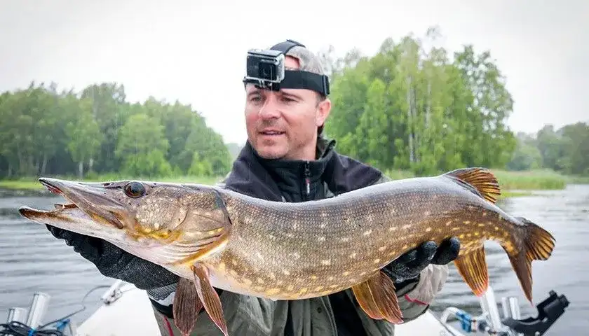 Wędka na szczupaka: Jaki kij wybrać? Poradnik krok po kroku