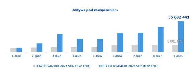 Beta ETF mWIG40TR: Co to jest i jak w niego inwestować?