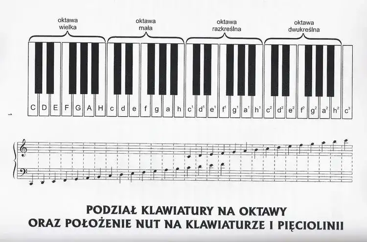 Tabela częstotliwości dźwięków: klucz do harmonii muzycznej