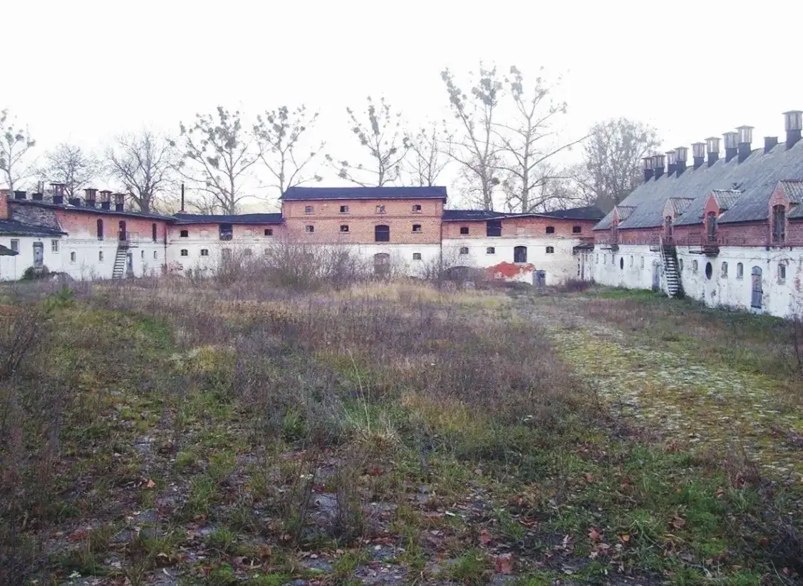 Mniszki skansen: Odkryj znikające rzemiosła i regionalną historię