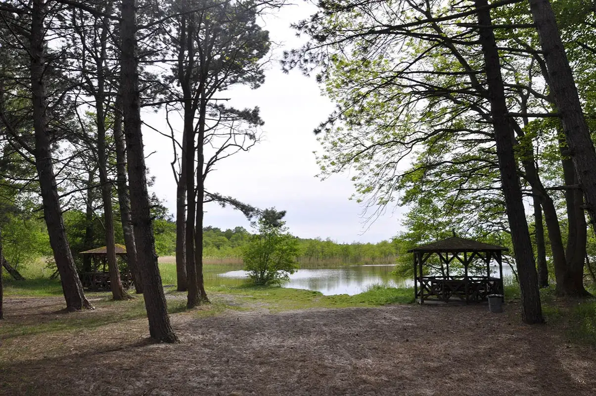 Najlepsze atrakcje w Dziwnowie, które musisz zobaczyć na wakacjach