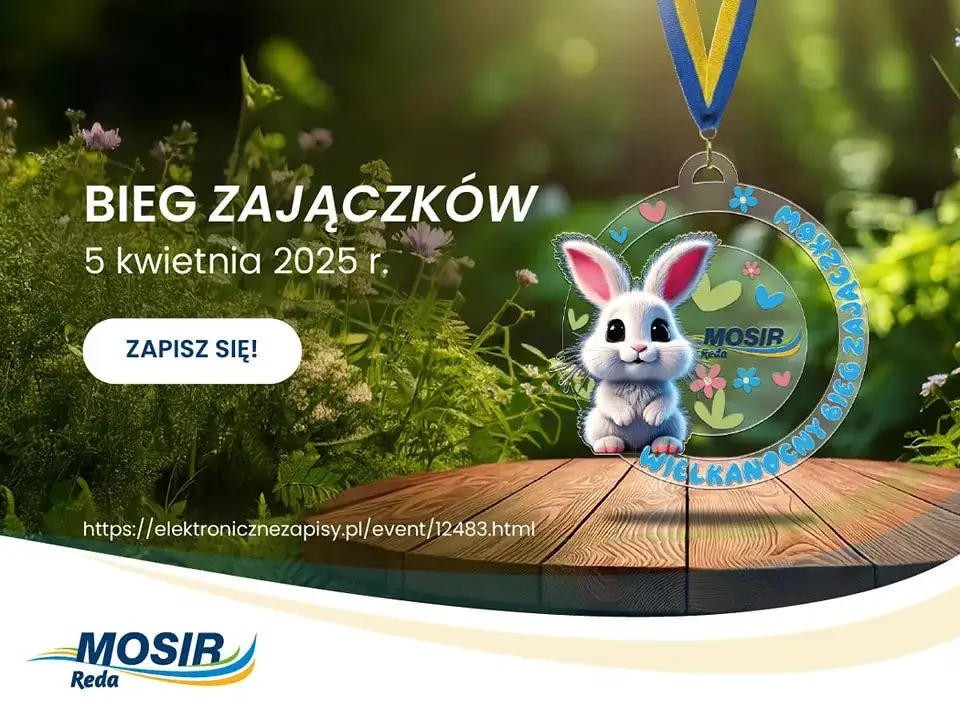 Jak szybko biega zając? Odkryj jego niesamowite prędkości i techniki