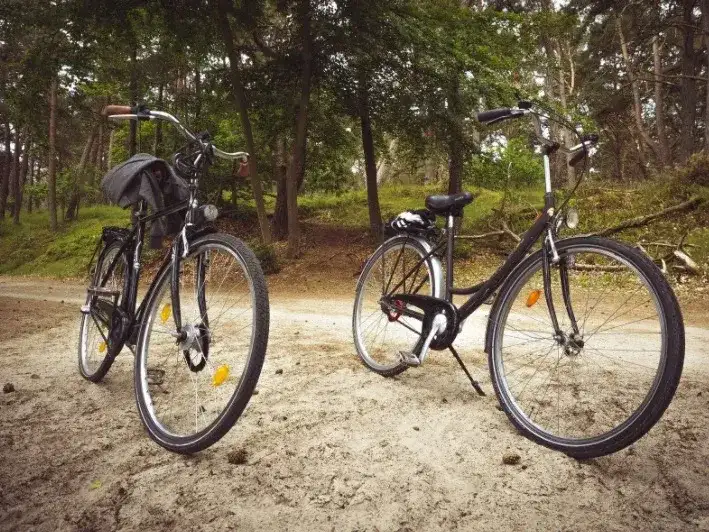 Trasy rowerowe Płock: Odkryj najlepsze szlaki i atrakcje w regionie