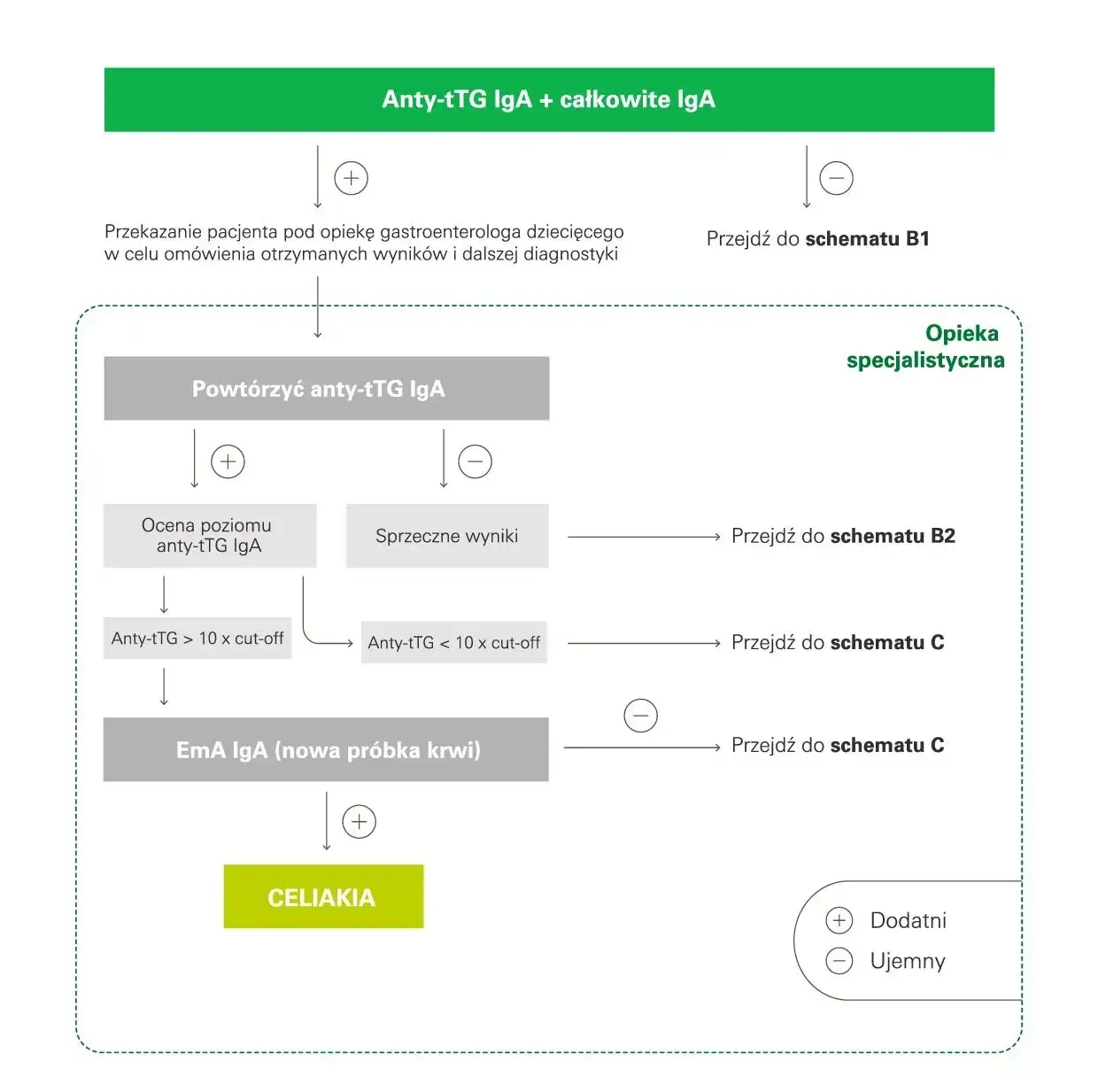 Celiakia - badania krwi w diagnostyce choroby trzewnej