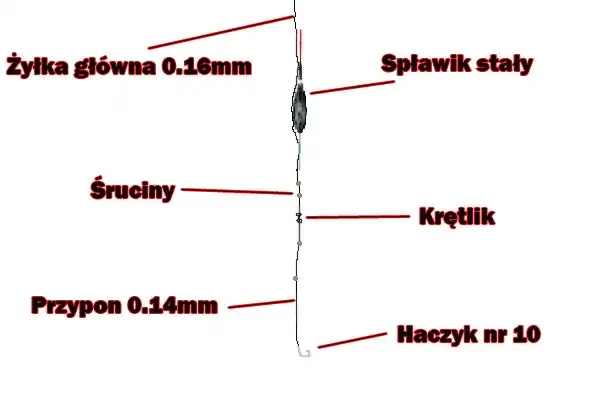Jak przygotować wędkę spławikową? Poradnik krok po kroku