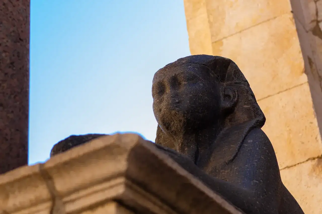 Rzeźba głowy: Odkryj fascynujący świat sztuki i dekoracji