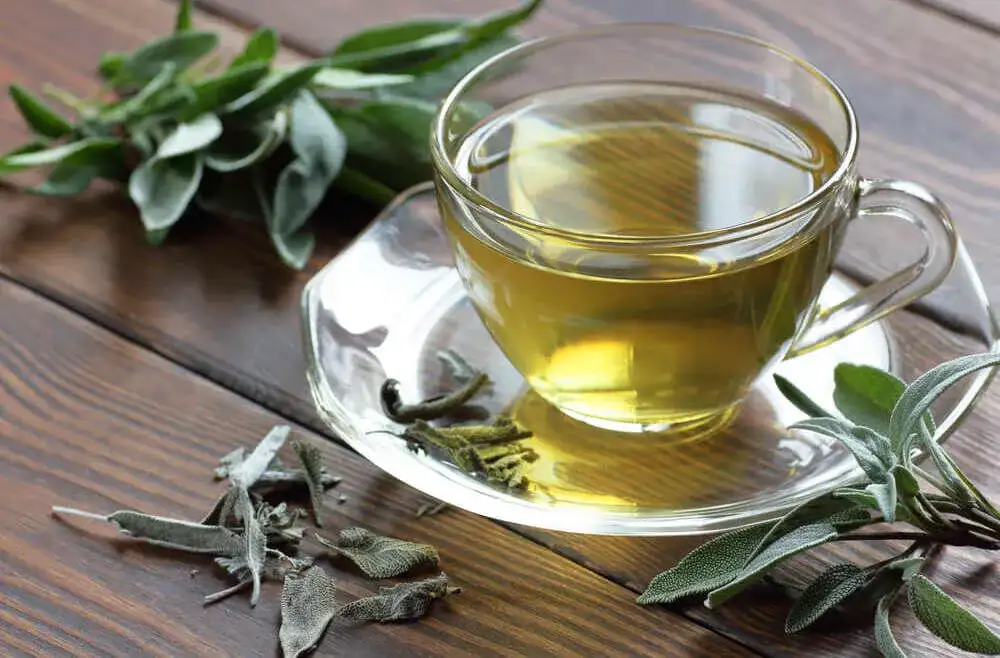 Szałwia czy rumianek na dziąsła: Które zioło skuteczniej łagodzi ból?