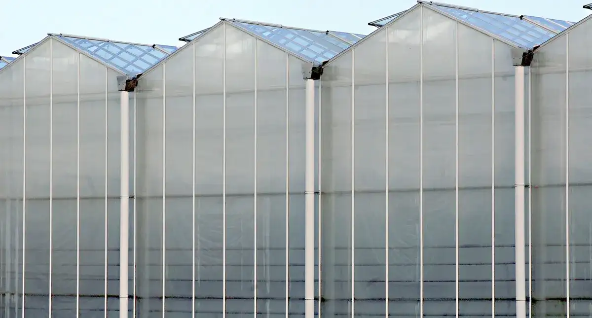 Ścianki z poliwęglanu komorowego: właściwości i zastosowania