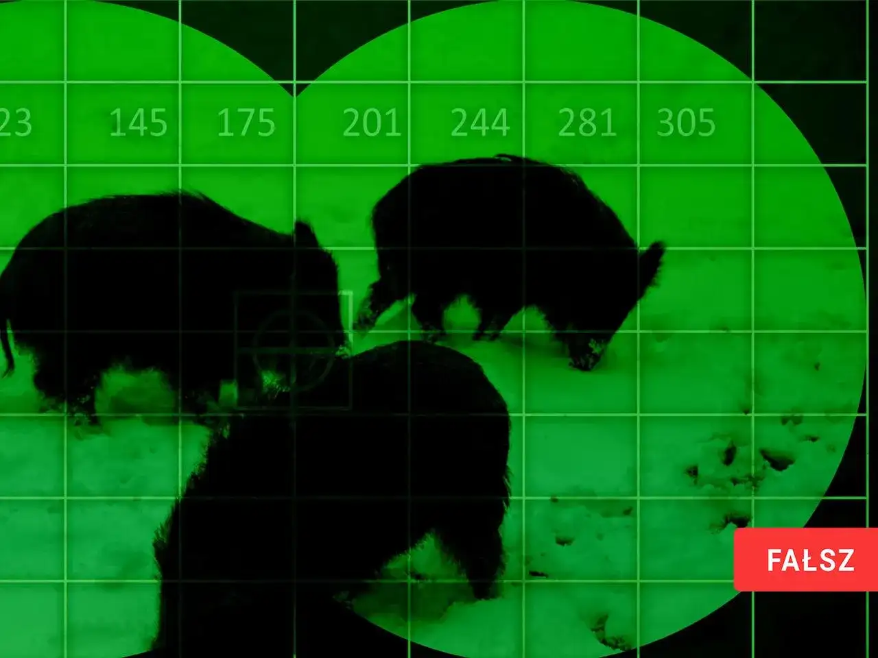 Nocne polowanie na dziki z dubeltówką? Obraz sugeruje, że to fałsz. Widoczne są sylwetki dzików i siatka celownicza.