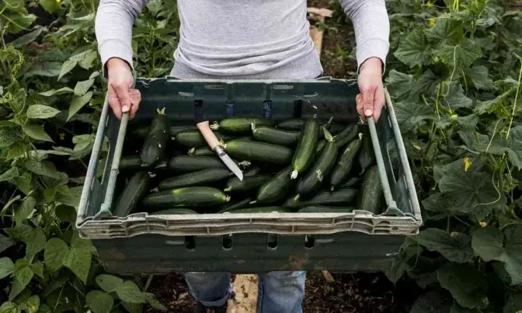 Ile kcal ma cukinia? Zaskakujące fakty o jej kaloryczności