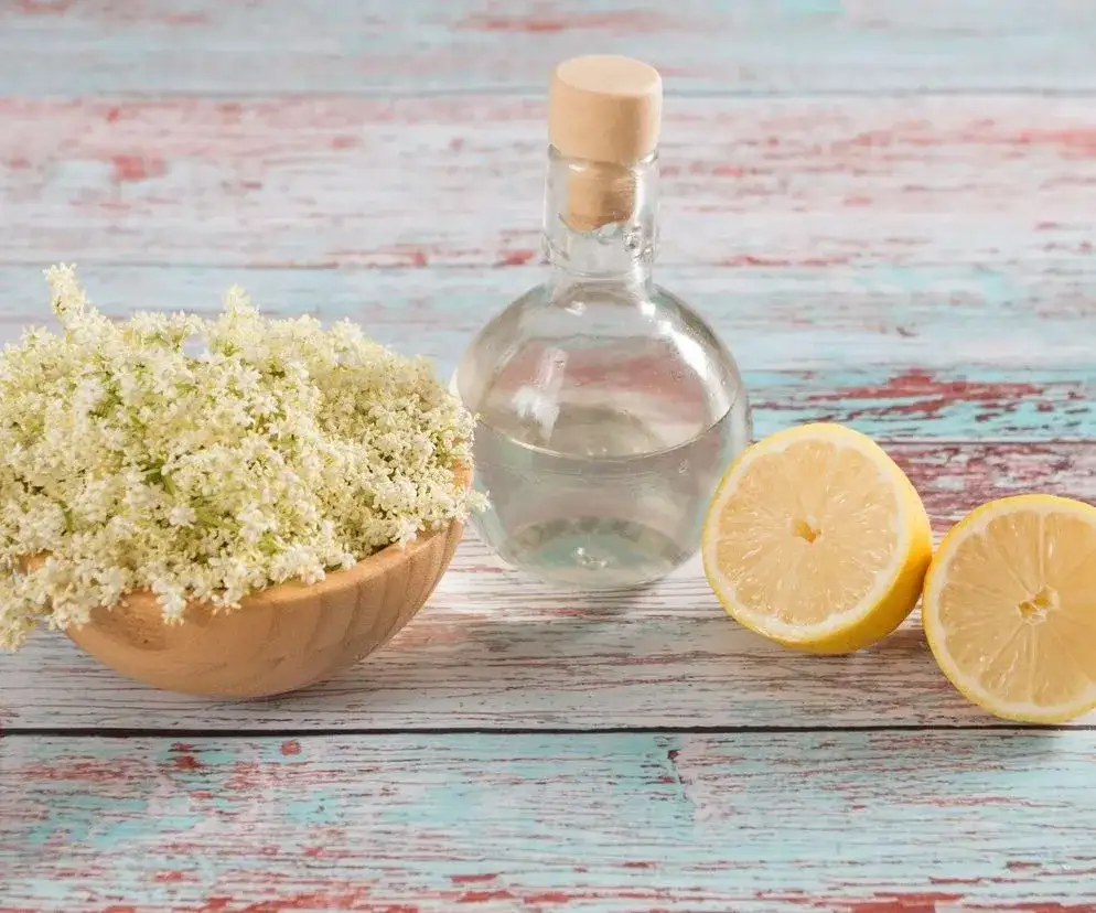 Sok z bzu: Przepisy na odporność z kwiatów i owoców. Bezpiecznie!