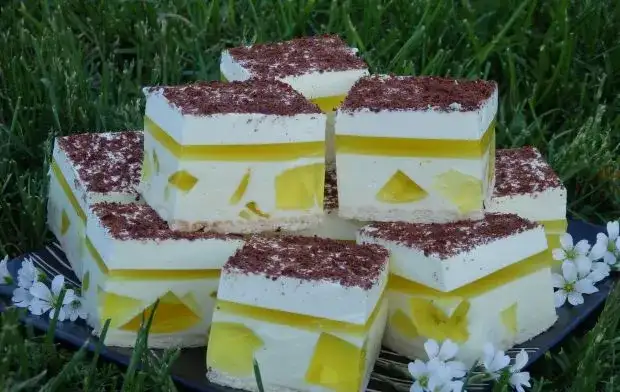 Prosty przepis na ciasto Cyganka – smaczny deser bez pieczenia w kilka kroków