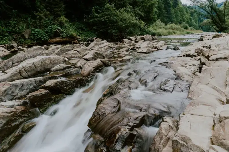 Rezerwat przyrody Sine Wiry - odkryj ukryte skarby Bieszczad