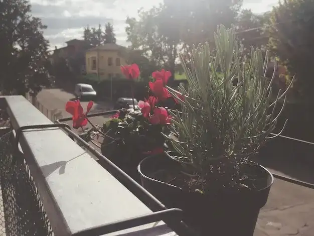 Mały balkon w bloku: Jak stworzyć oazę? Praktyczny przewodnik