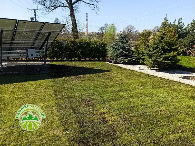 Czy skoszona trawa nawozi trawnik? Poznaj tajniki mulczowania