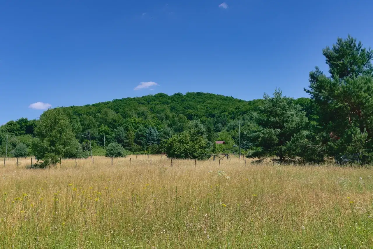 Rezerwat przyrody Góra Chełm - tajemnice natury i unikalne atrakcje