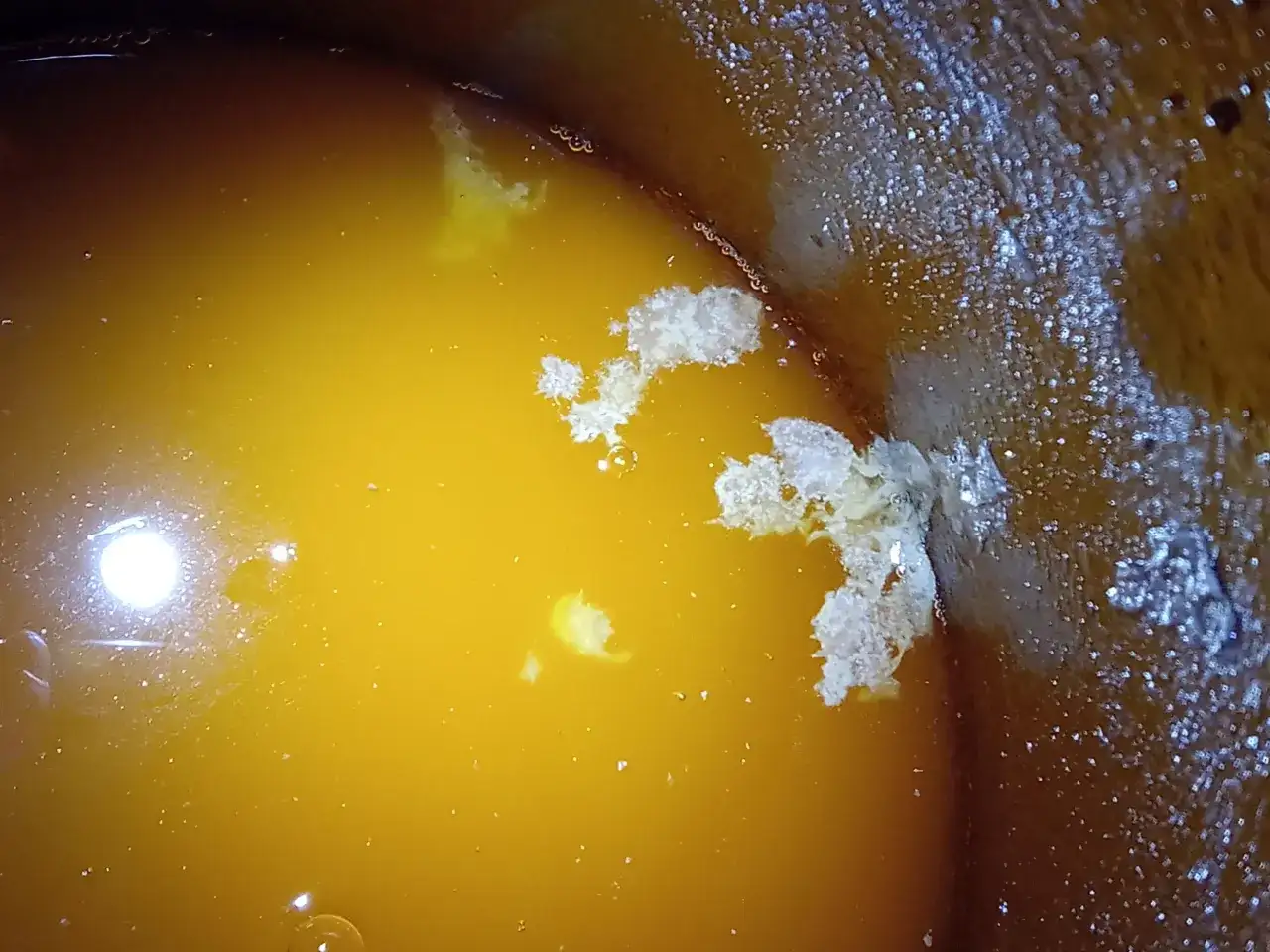 Jak rozpoznać objawy zakażenia warki? Pleśń jest biała i puszysta, kożuch drożdżowy bardziej jednolity.