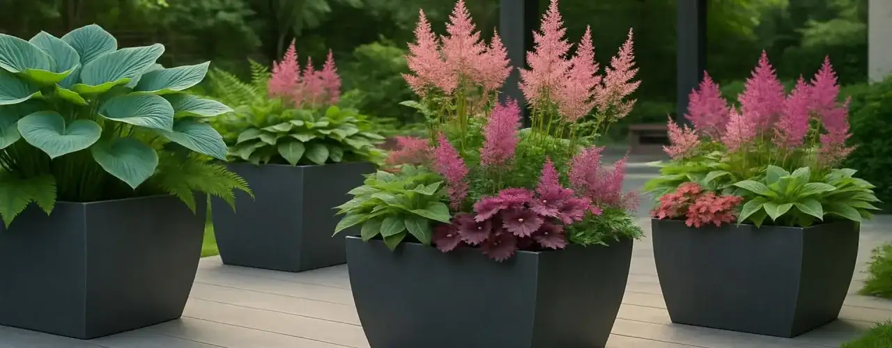 Co do dużej donicy na taras? Najlepsze rośliny, które zachwycą