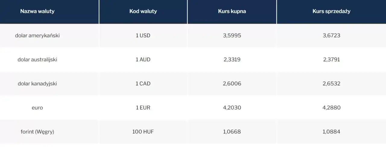 Jak kupić euro w NBP – procedury, kursy i opłaty, które musisz znać