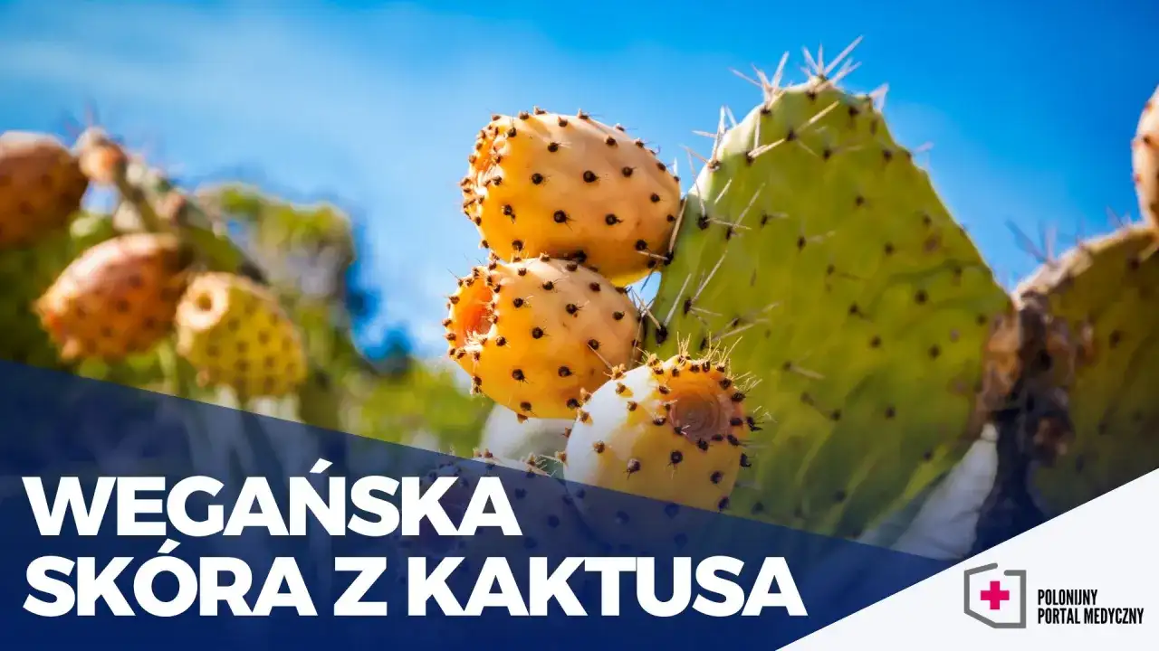 Wegańska skóra z czego powstaje? Odkryj zaskakujące materiały