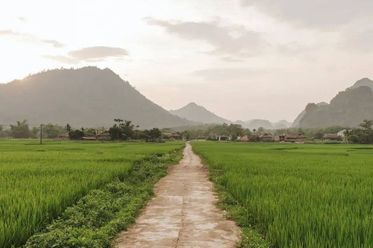 Remont drogi: zgłoszenie czy pozwolenie? Uniknij kar!