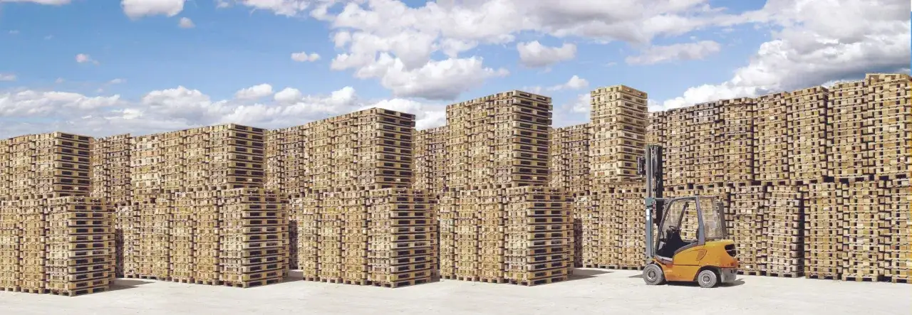 Ile za europaletę w skupie? Odkryj ceny i zwiększ swój zysk!