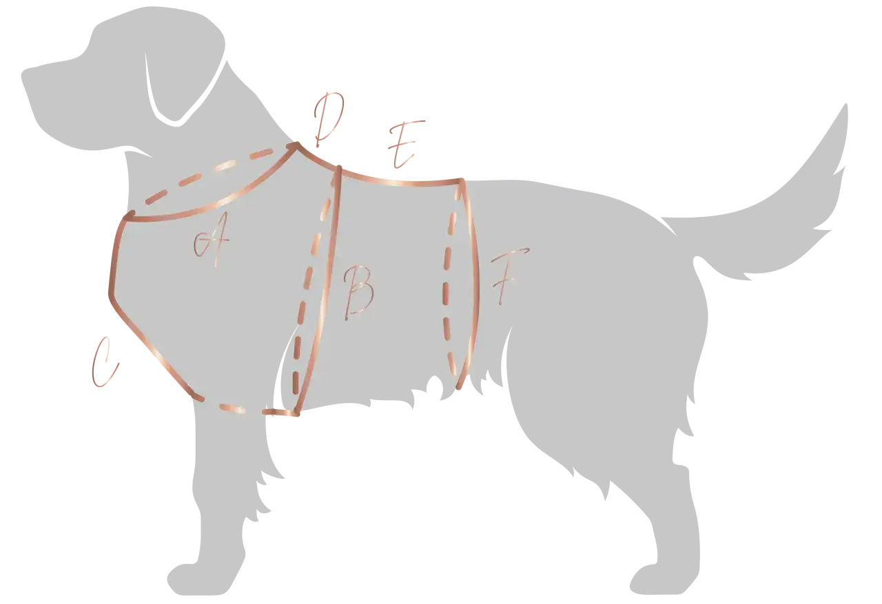 Jak zmierzyć szelki dla psa? Sekret idealnego dopasowania