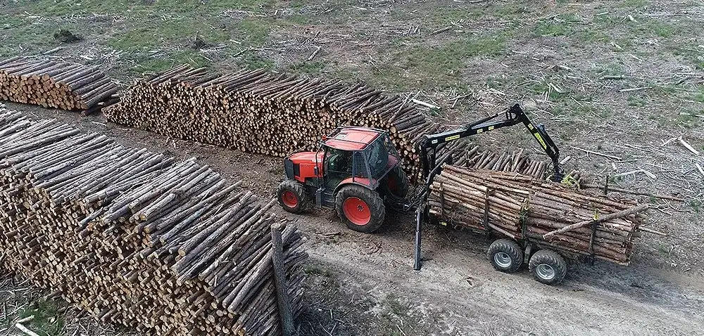 Jaki ciągnik do lasu: wybierz najlepszy model do trudnych warunków