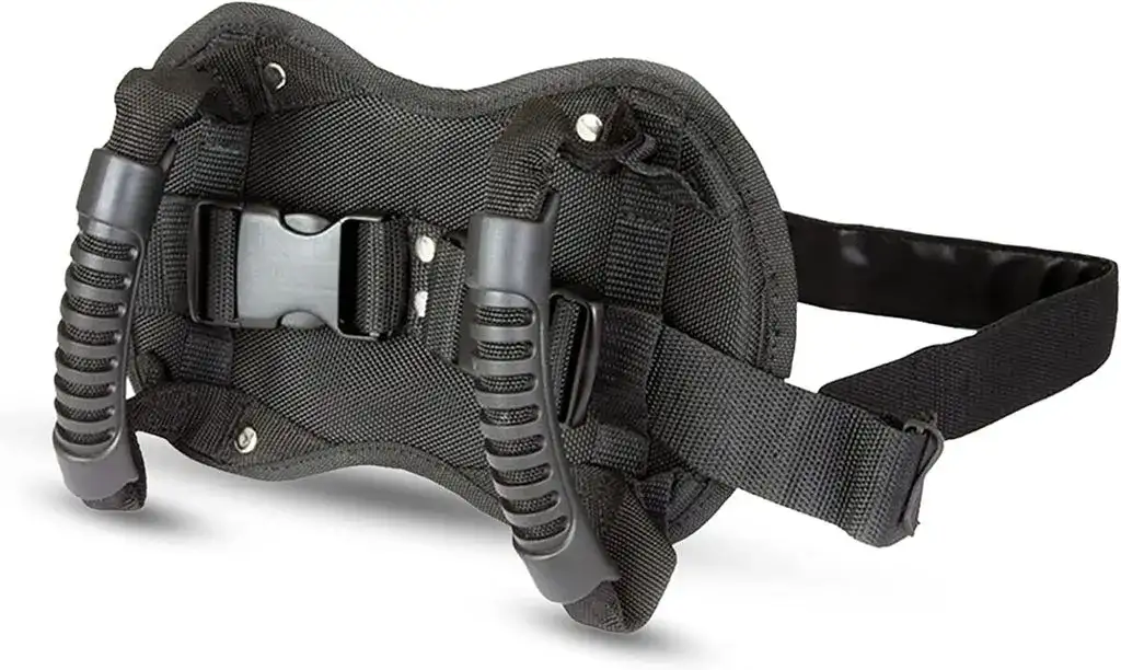 Sicherheitsgurt Motorrad: So erhöhen Sie Ihre Sicherheit auf zwei Rädern