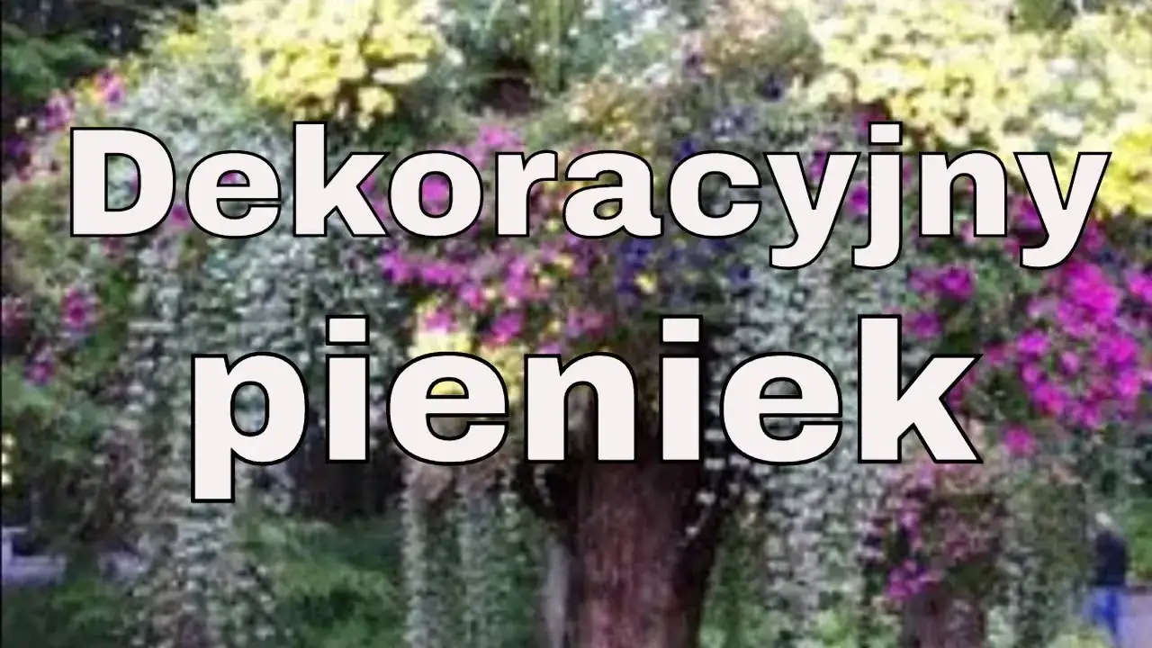 Jak wykorzystać stary pień w ogrodzie: 10 kreatywnych pomysłów na aranżację