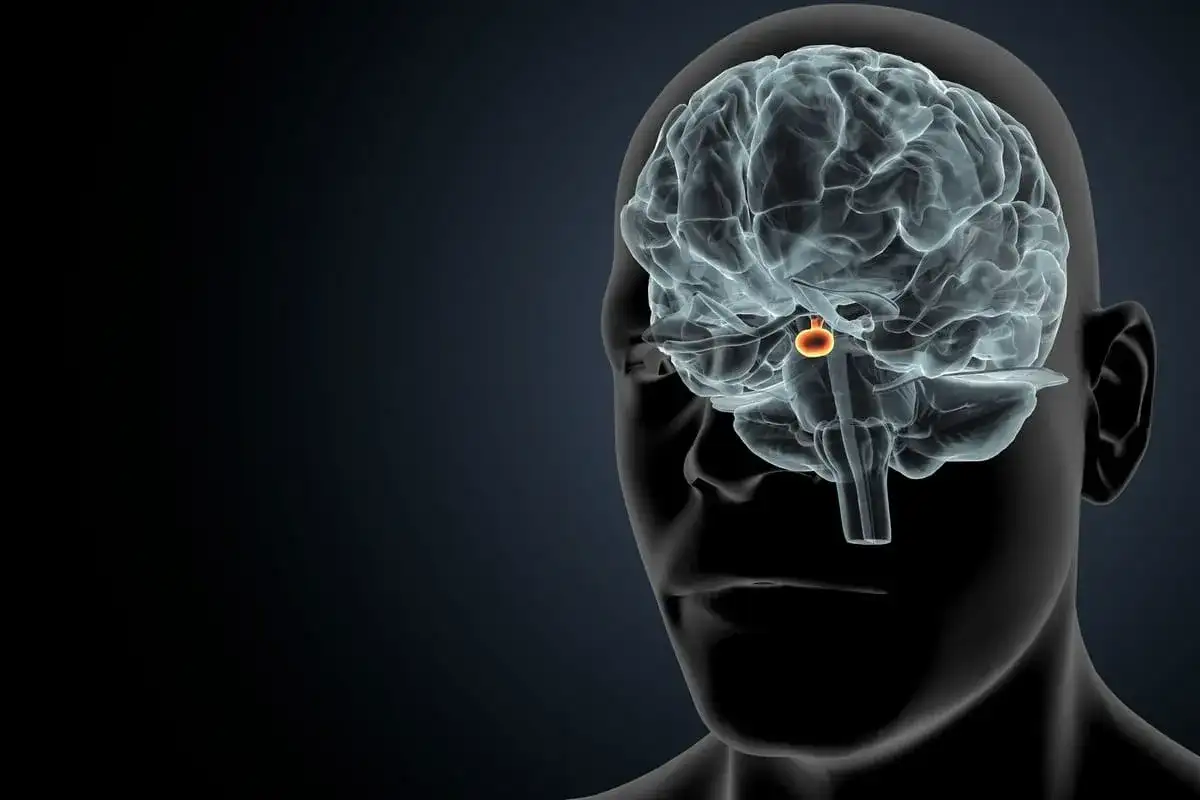 Depresja, lęk, mgła mózgowa? To może być gruczolak przysadki!