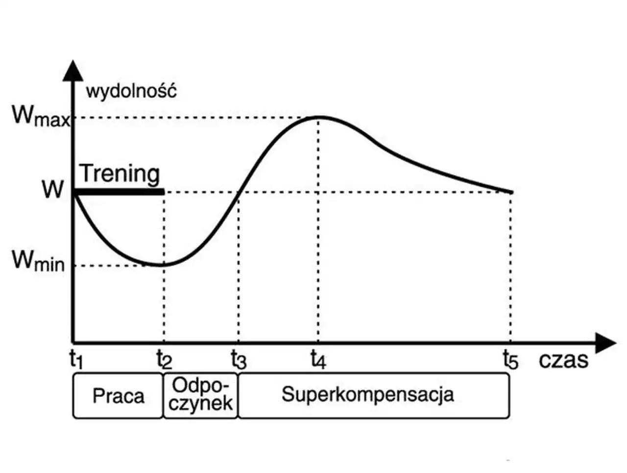Ile serii na trening? Optymalna objętość dla Twoich celów!