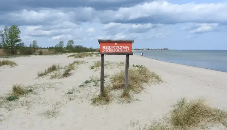 Rezerwat Mechelińskie Łąki: Ptaki, słonorośla, zwiedzanie. Co musisz wiedzieć?