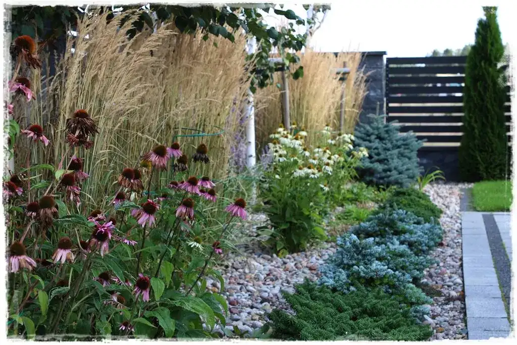 Idealne towarzystwo dla krzewuszki: Kwitnąca rabata marzeń!