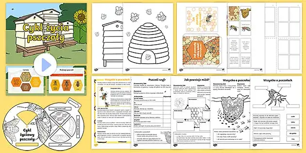 Jak powstaje miód - obrazkowa historia dla dzieci o pszczołach