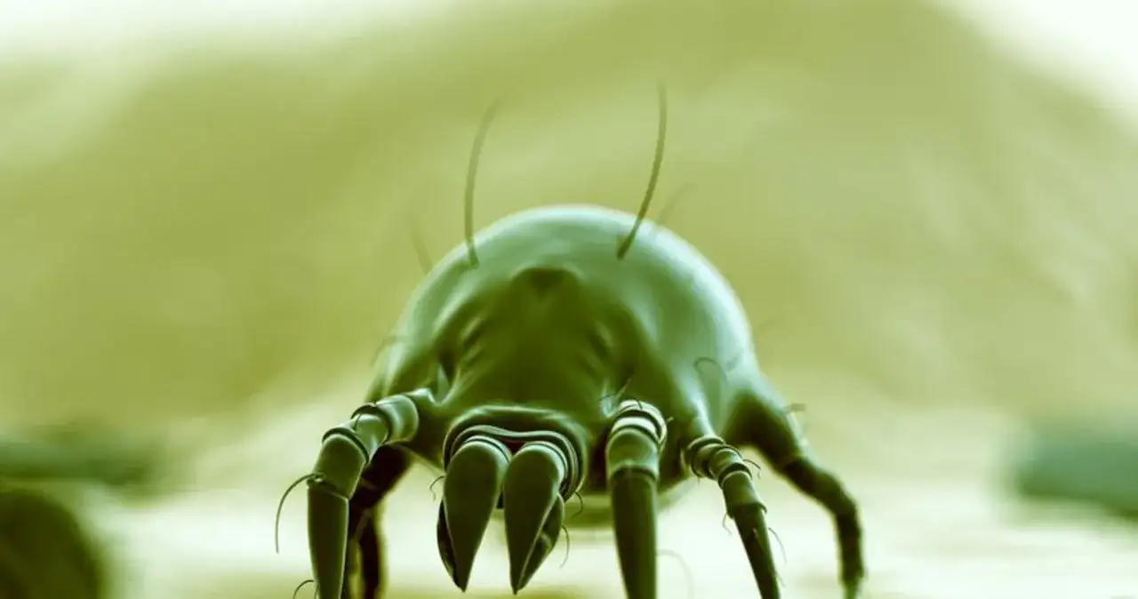 Jak skutecznie pozbyć się agencji towarzyskiej w bloku?